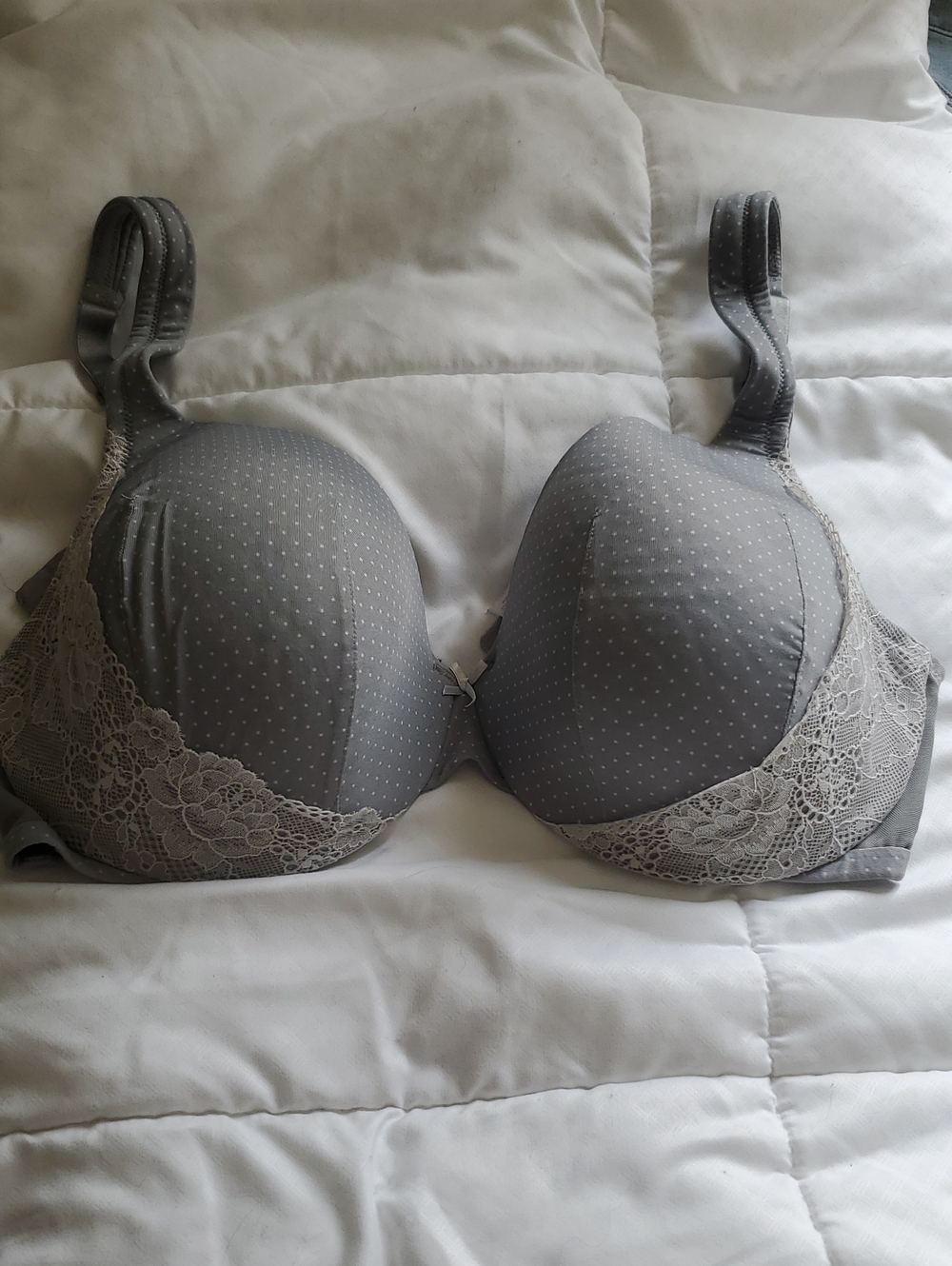 Cacique Gray Polka Dot Lace-Trim Padded Bra